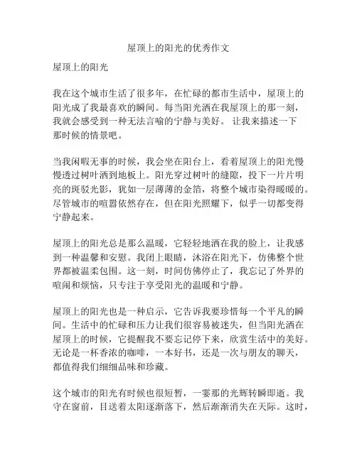屋顶上的阳光的优秀作文