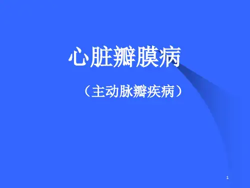 主动脉瓣疾病PPT课件