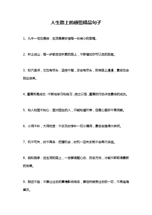 人生路上的感悟精品句子