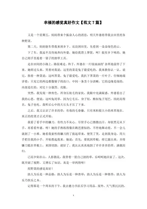 精选幸福的感觉真好作文【范文7篇】