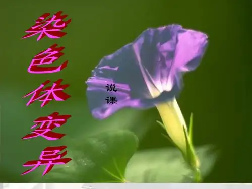 染色体变异说课课件