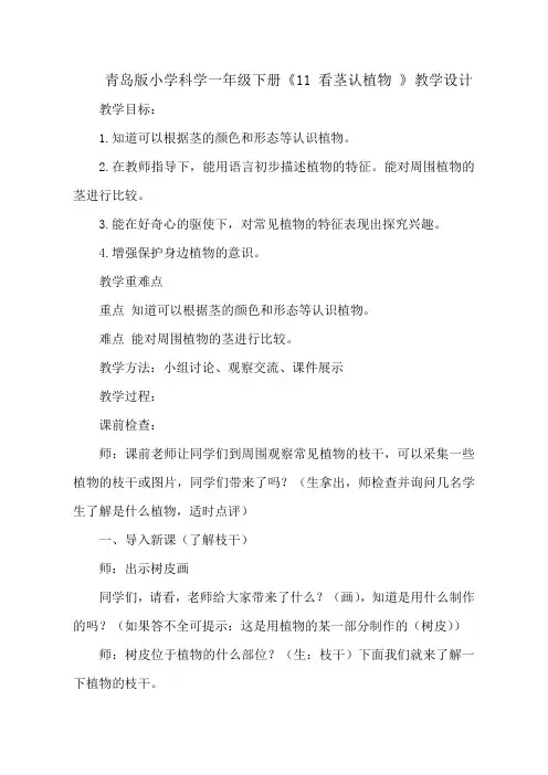 一年级科学下册教案   第三单元《11 看茎认植物》   青岛版