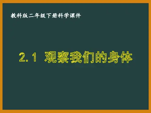二年级科学下册第二单元《我们自己》教科版全部课件(共6课时)