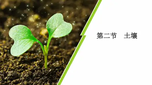 人教版高一 地理 必修一 第五章 第二节 土壤