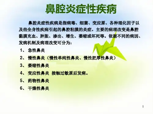 鼻炎PPT参考幻灯片
