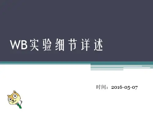 Western Blot实验(蛋白质印迹法)