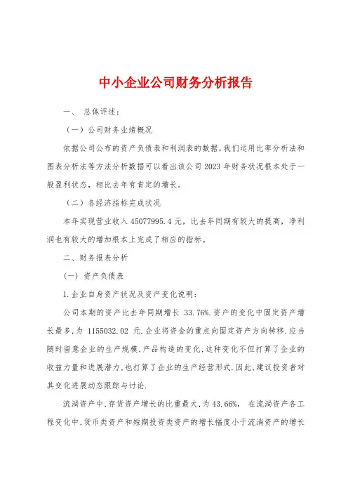 中小企业公司财务分析报告