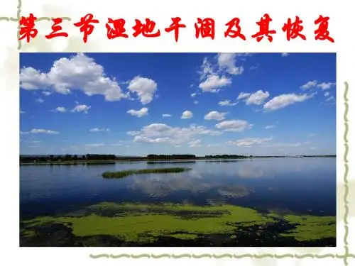 《湿地干涸及其恢复》课件(人教版选修6)