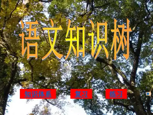语文高考复习课件：语文知识树