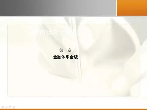 金融体系全貌概述(共61张PPT)