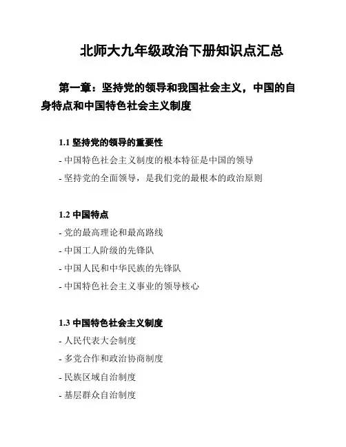 北师大九年级政治下册知识点汇总
