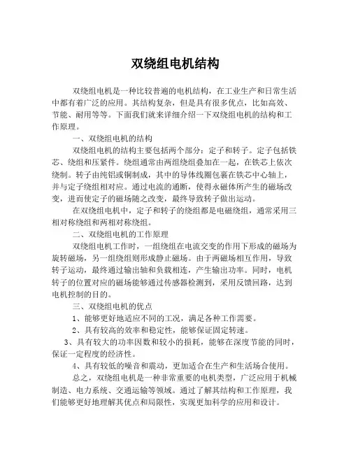 双绕组电机结构