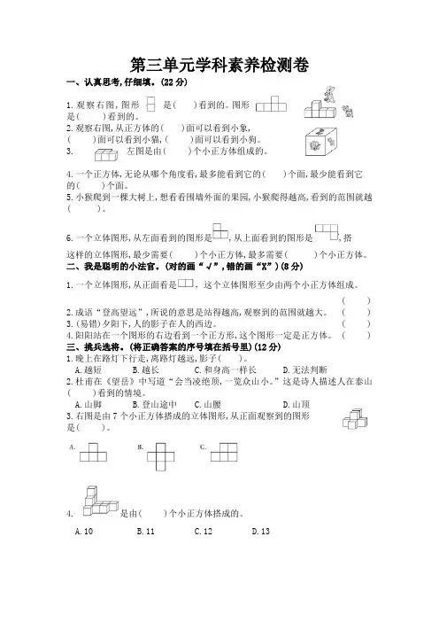 +第三单元++观察物体(单元测试)-2024-2025学年六年级上册数学北师大版