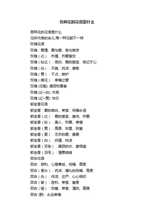 各种花的花语是什么