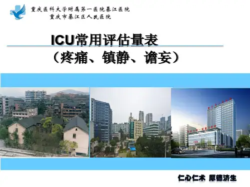 ICU常用评估工具(疼痛、镇静、谵妄)(徐智会)