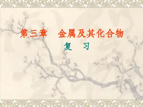 高一化学金属及其化合物(复习)(人教版必修1)ppt课件