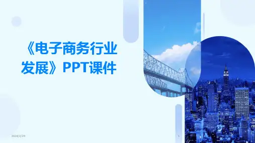 2024年《电子商务行业发展》PPT课件