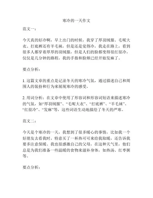 寒冷的一天作文