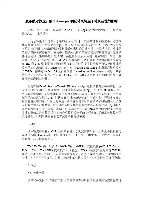 脱落酸对铁皮石斛Ty1—copia类反转录转座子转录活性的影响