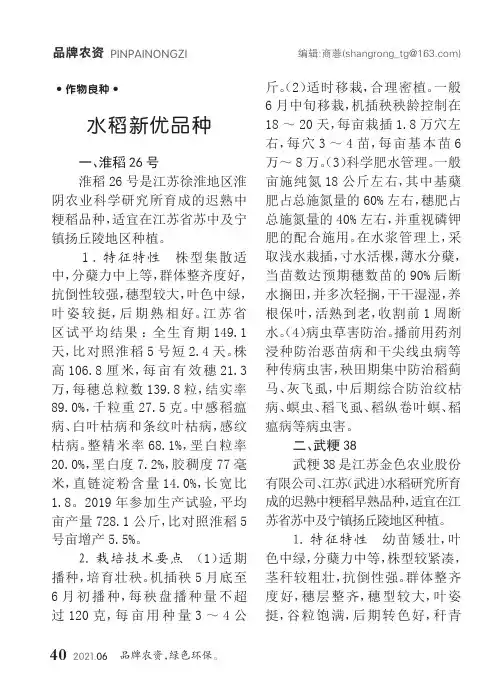水稻新优品种