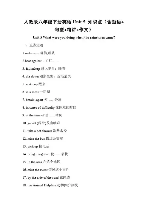 What were you doing when the rainstorm came知识点