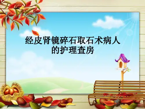 经皮肾镜碎石取石术病人的护理查房ppt课件