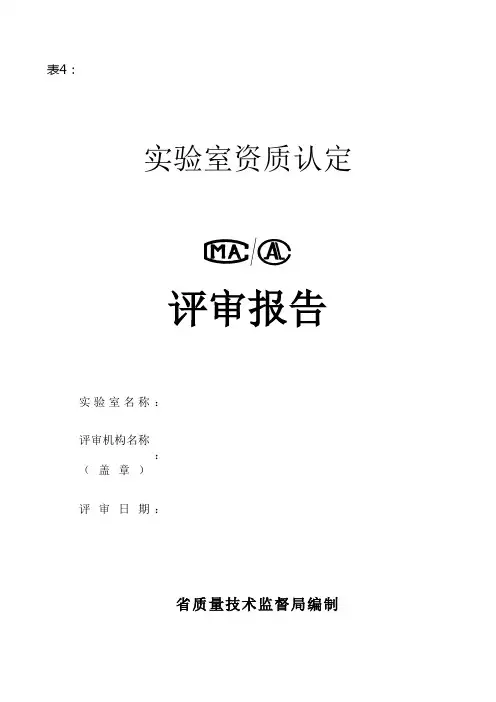实验室资质认定表格评审报告(4)