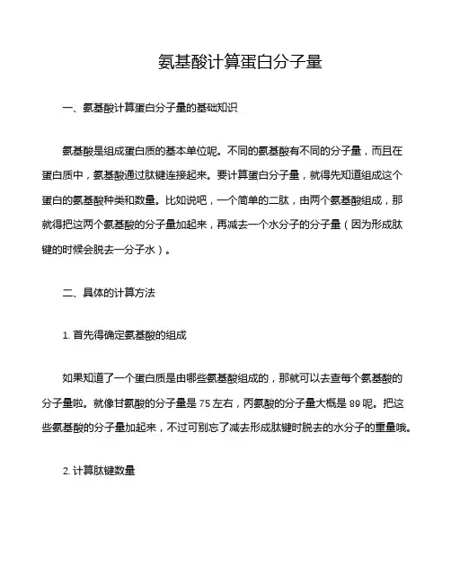 氨基酸计算蛋白分子量
