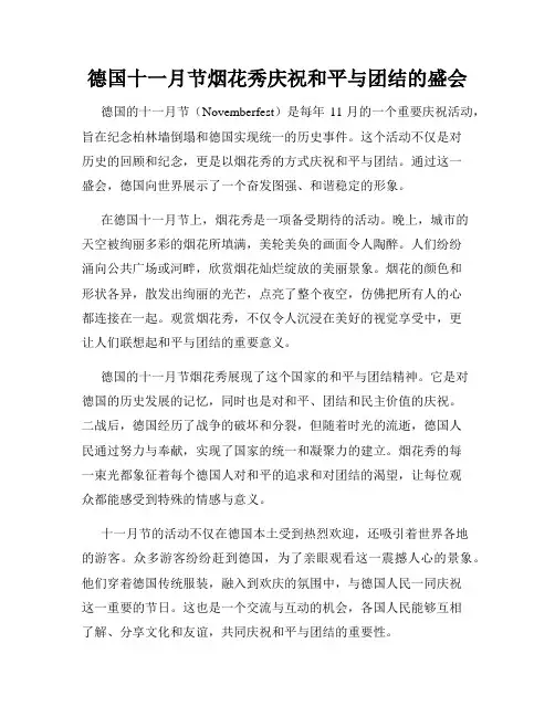 德国十一月节烟花秀庆祝和平与团结的盛会
