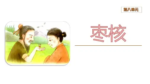 《枣核》PPT课件