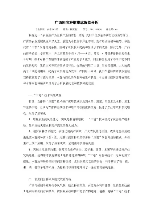 广西间套种植模式效益分析