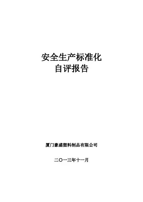自评报告 2