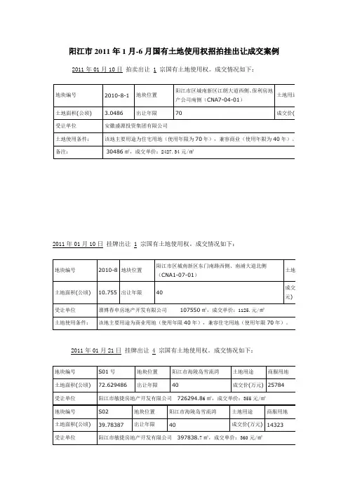 阳江市国土资源局国有土地使用权招拍挂出让成交公示.doc1