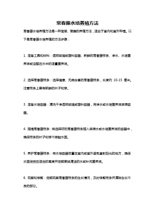 常春藤水培养殖方法