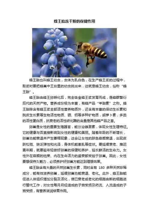 蜂王胎冻干粉的保健作用