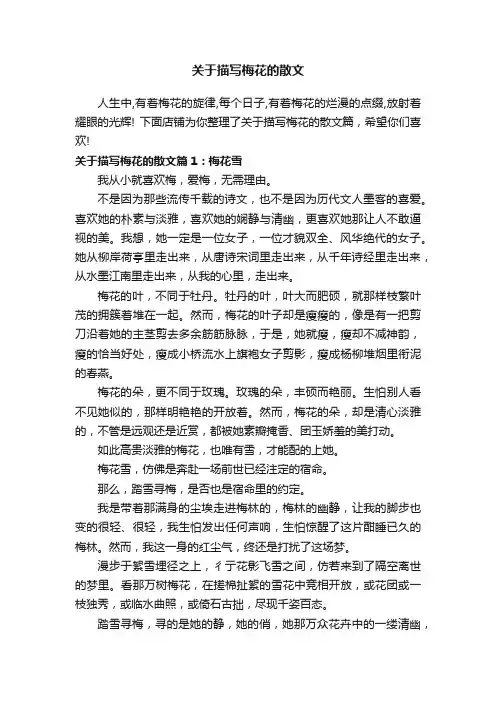 关于描写梅花的散文