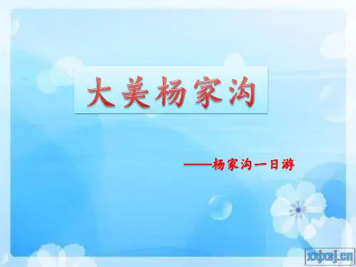 大美杨家沟