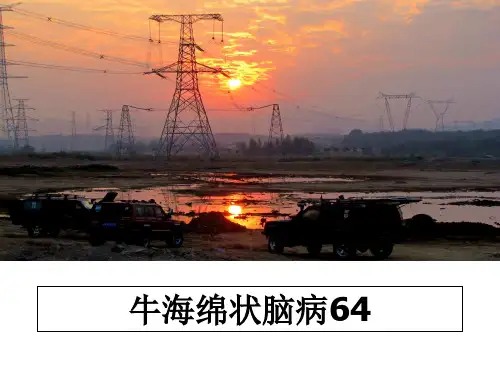 最新牛海绵状脑病64教学讲义PPT课件