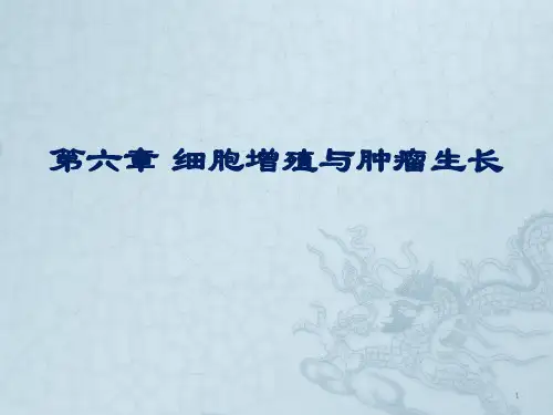 细胞增殖与肿瘤生长ppt课件