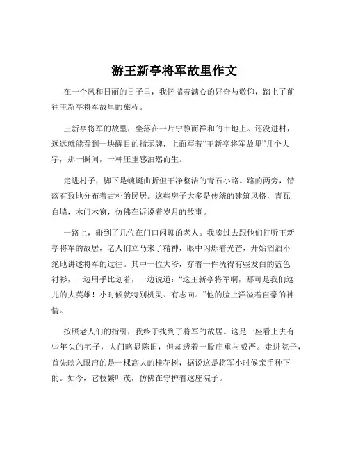 游王新亭将军故里作文