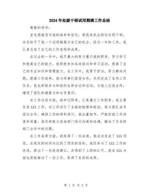 2024年处级干部试用期满工作总结