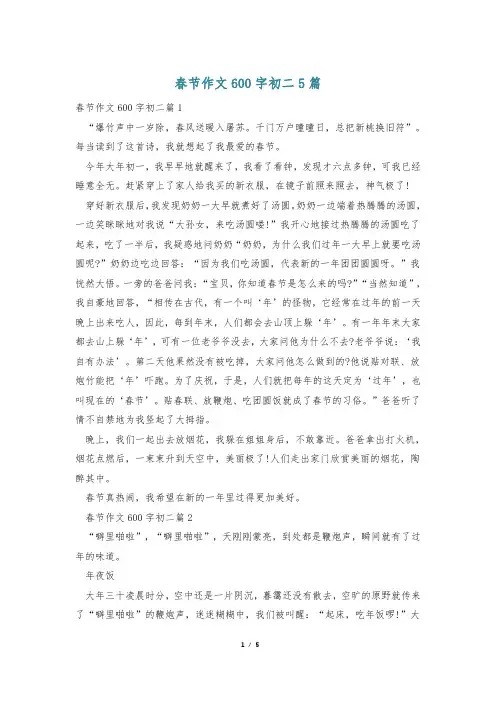 春节作文600字初二5篇