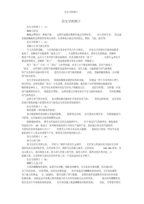 仿生学的例子