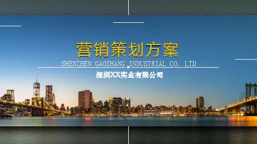 【营销策划】品牌柠檬茶20XX年度策划方案