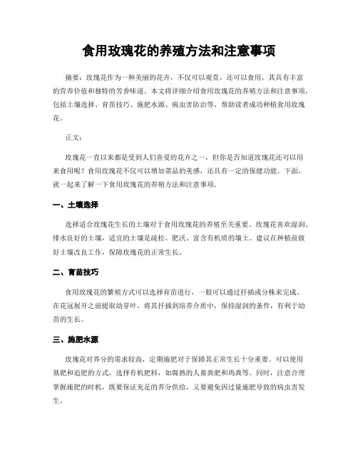 食用玫瑰花的养殖方法和注意事项
