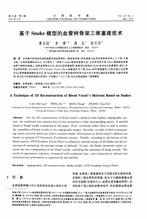 基于Snake模型的血管树骨架三维重建技术