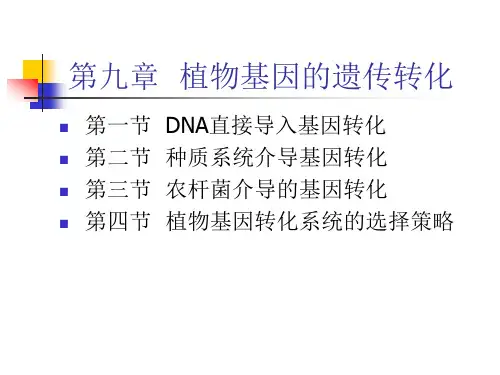 第九章  植物基因的遗传转化