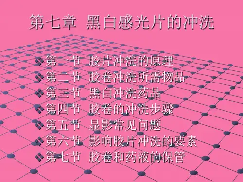 《黑白感光片的冲洗》ppt课件