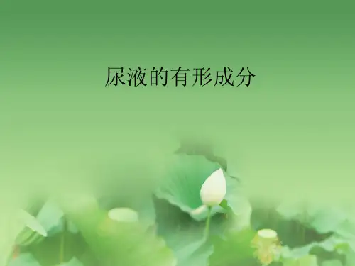 尿液的有形成分
