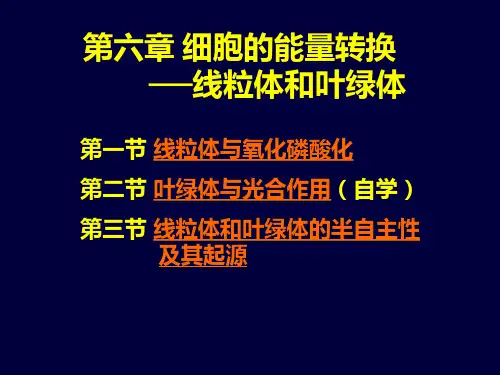 第六章 细胞的能量转换—线粒体和叶绿体 南开大学细胞生物学课件